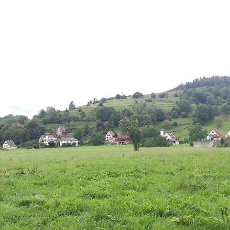 studios du frankenthal Stosswihr Eksteriør billede