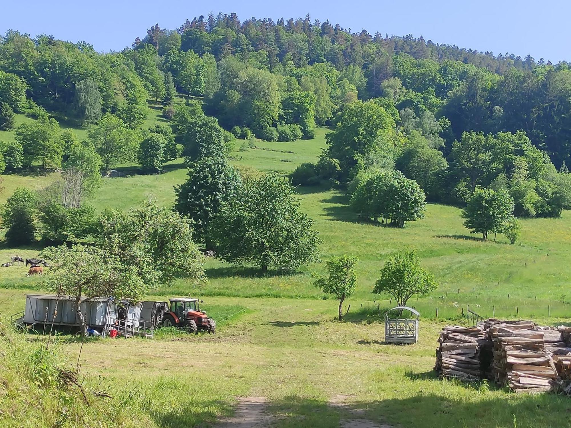 studios du frankenthal Stosswihr Eksteriør billede