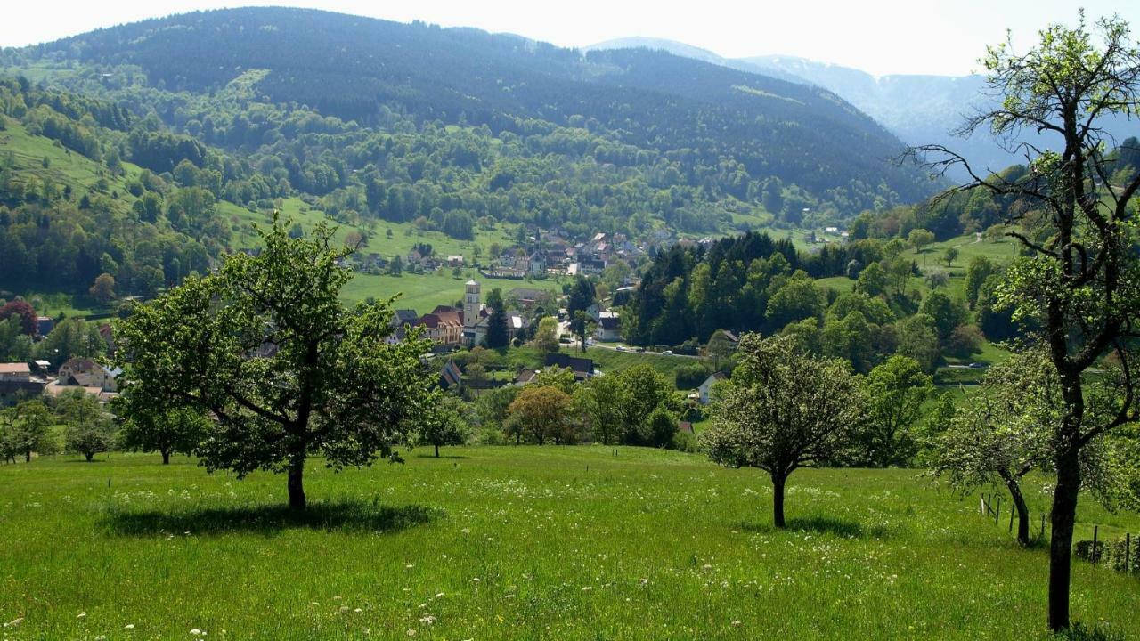 studios du frankenthal Stosswihr Eksteriør billede